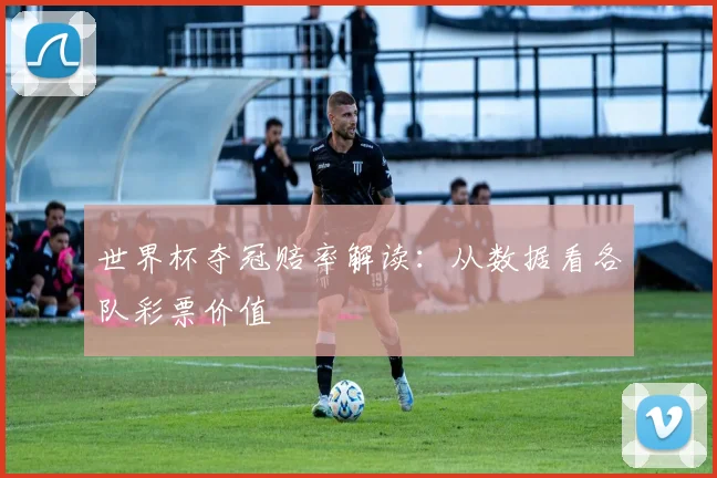 世界杯夺冠赔率解读：从数据看各队彩票价值